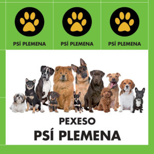 pexeso_psi-plemena-1